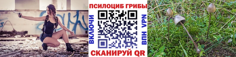 Псилоцибиновые грибы MAGIC MUSHROOMS  блэк спрут ССЫЛКА  Карабулак 