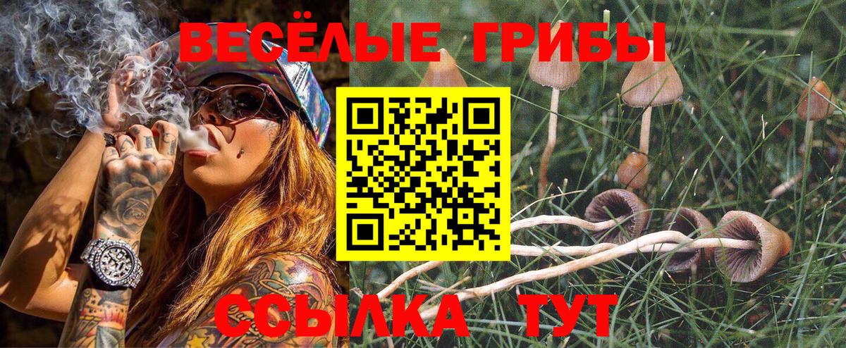 Галлюциногенные грибы мухоморы  Псилоцибиновые грибы мицелий  Вход с VPN  Карабулак 